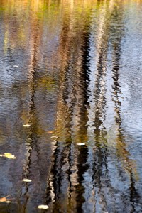 Reflection 12_1ASmall